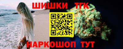 шишки Лесной