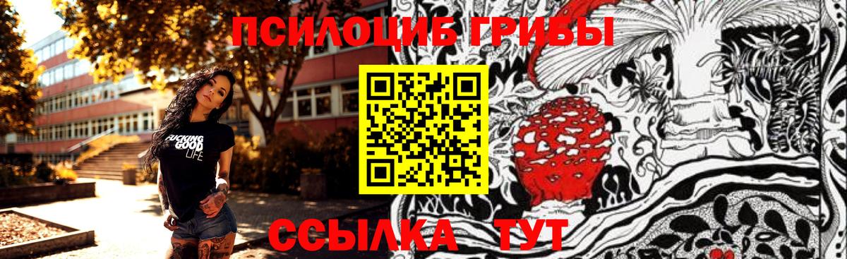 Псилоцибиновые грибы Magic Shrooms Киселёвск